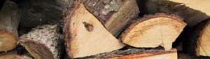 Eichen-Brennholz gehört zu den geeigneten Harthölzern für den Kamin